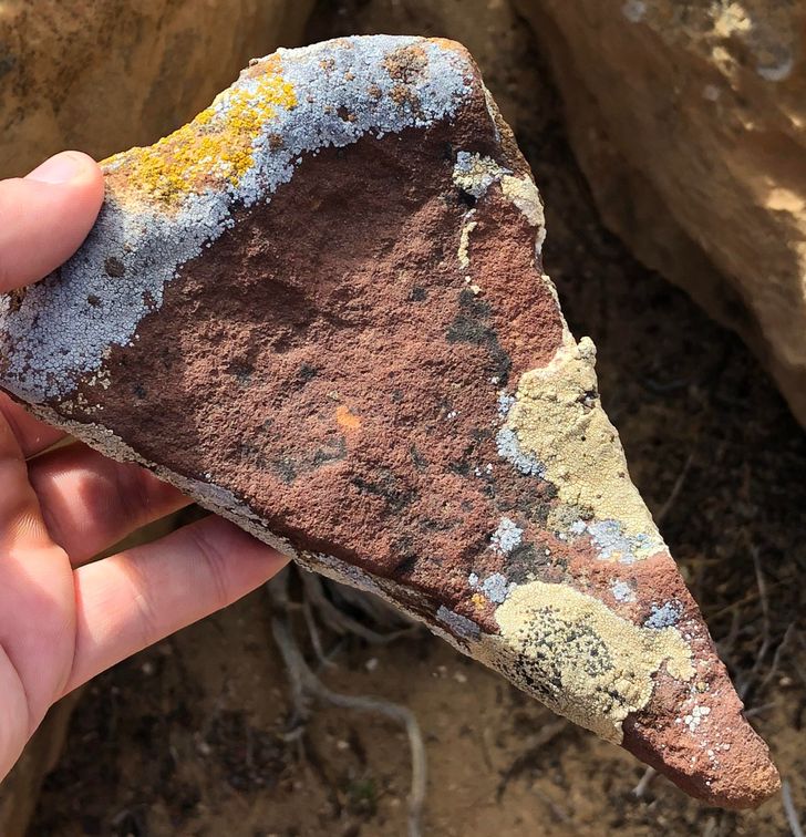 Illustration de l'article : Ces 16 photos qui illustrent la beauté et l'originalité de la nature