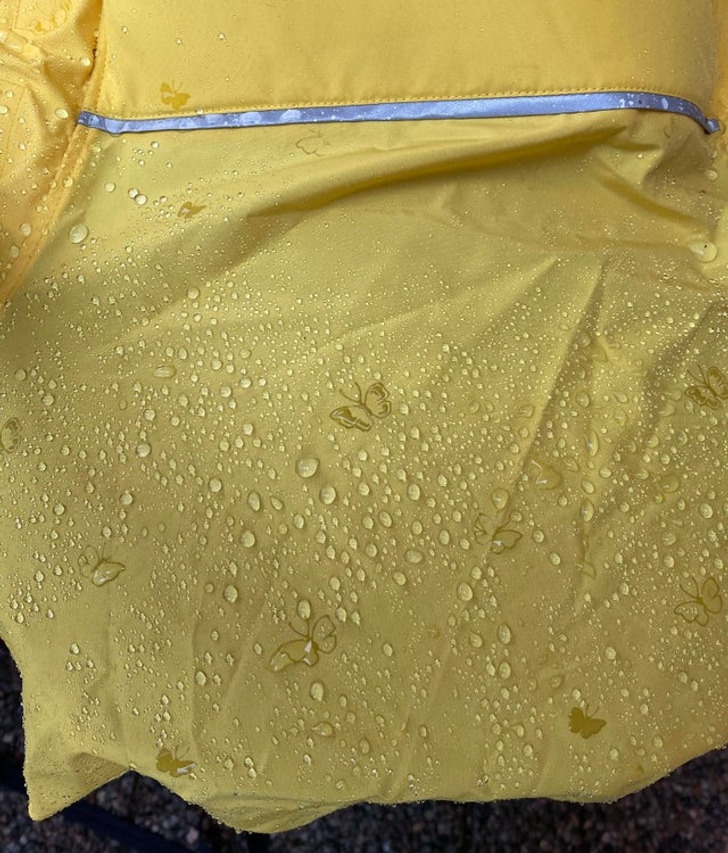 Illustration de l'article : Ces 18 inventions se veulent innovantes et utiles