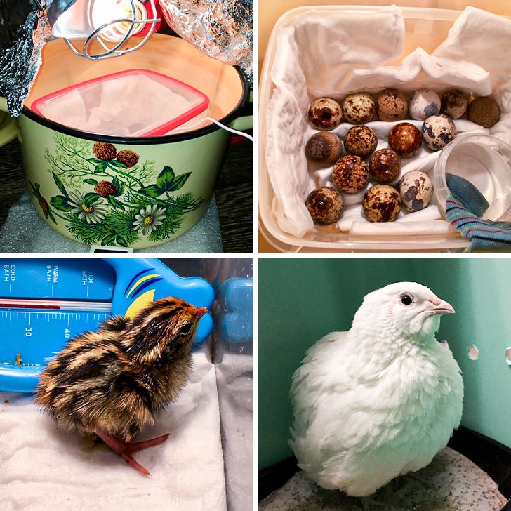 Illustration de l'article : Ces 14 photos qui montrent la puissance de la nature