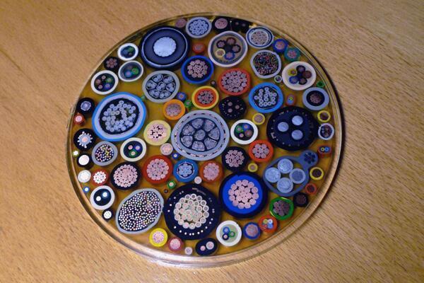 Illustration de l'article : Ces 17 objets qui ont été coupés en deux pour satisfaire la curiosité