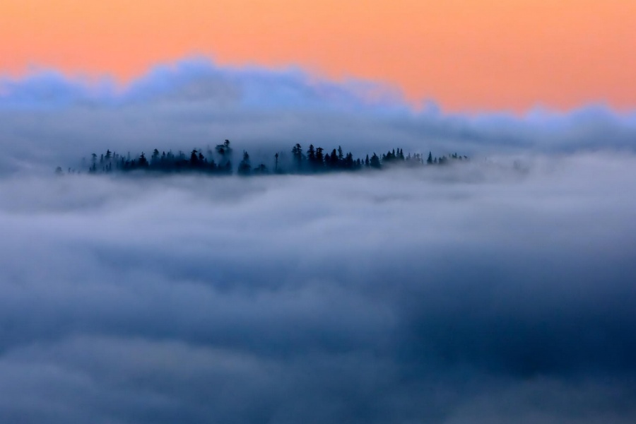 Illustration de l'article : 25 photos qu'il faut regarder 2 fois pour comprendre le sens