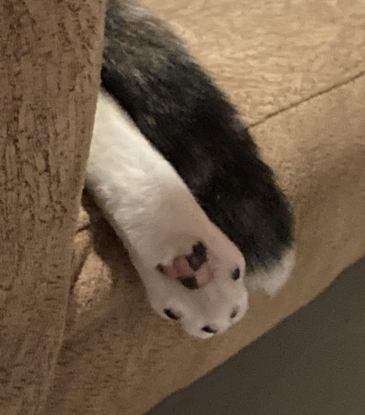 Illustration de l'article : Ces 20 photos illustrant les oeuvres insolites de la nature