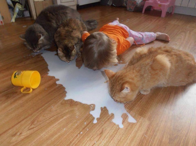 Illustration de l'article : Ces 20 photos dévoilent la complicité entre les enfants et leur animal de compagnie