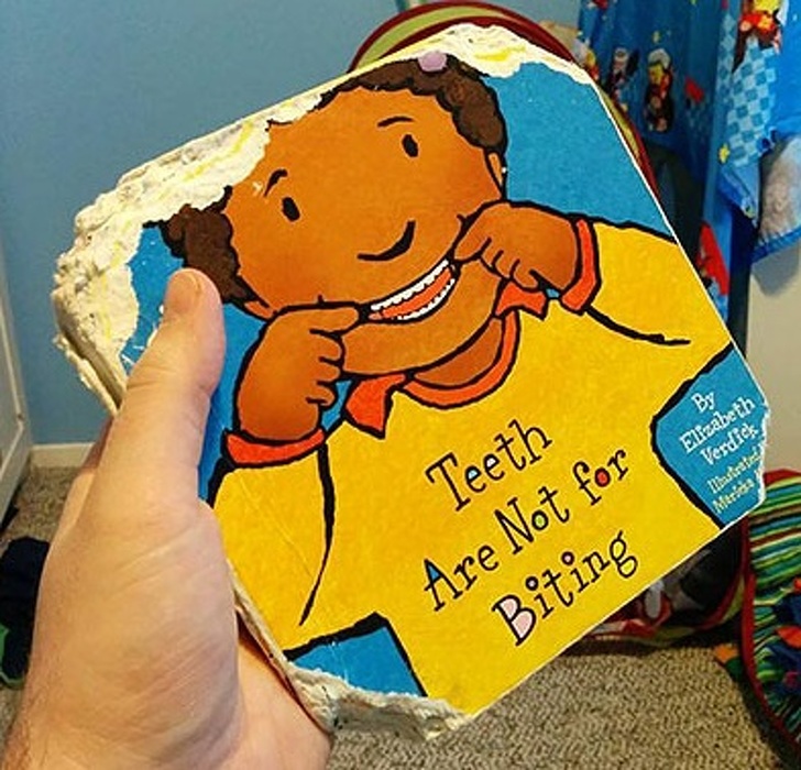 Illustration de l'article : Ces 16 personnes qui ont été choisies par la malchance