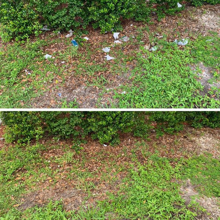 Illustration de l'article : Ces 20 personnes montrent qu'il suffit de peu pour rendre la plan&egrave;te plus propre