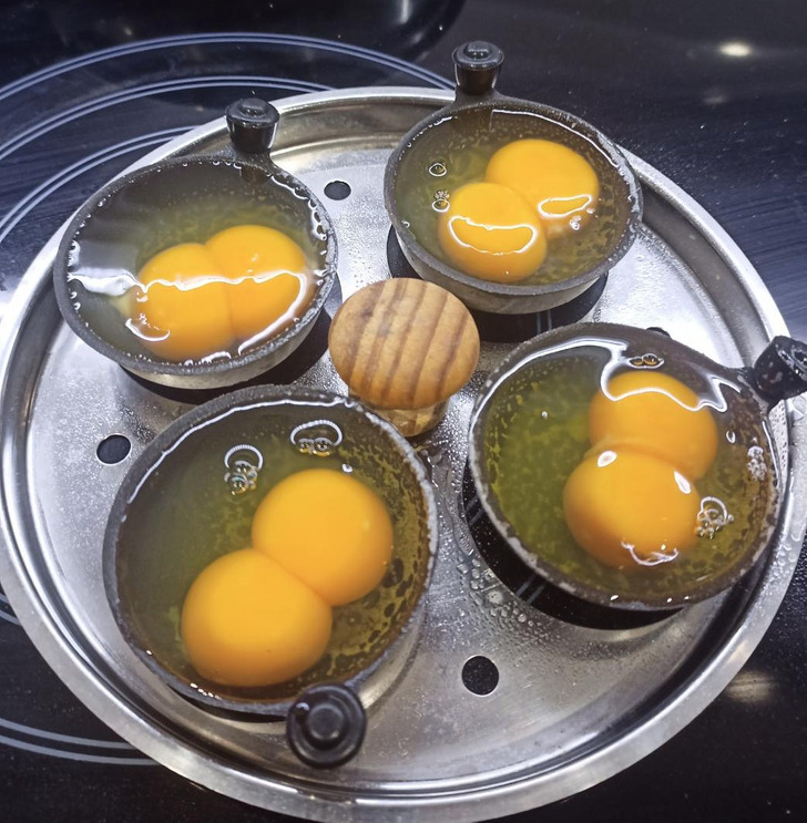 Illustration de l'article : Ces 18 photos de situations satisfaisantes prises au bon moment