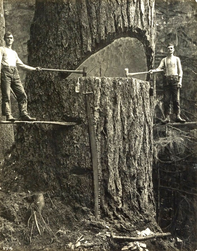 Illustration de l'article : 20 photos qui vont bouleverser votre perception des faits historiques
