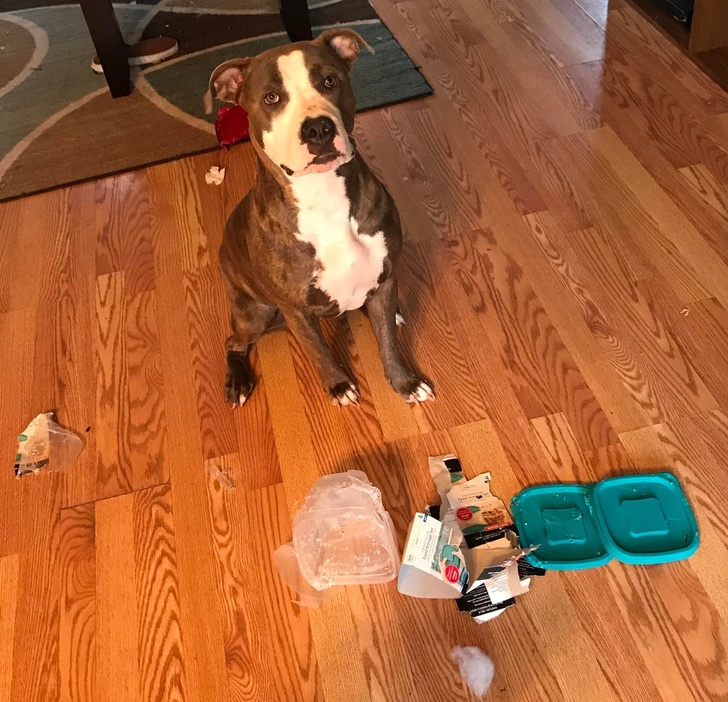 Illustration de l'article : Ces 18 photos de gens qui ne sont pas nés sous une bonne étoile