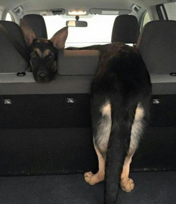 Illustration de l'article : Ces 27 photos de situations bizarres et sans explication