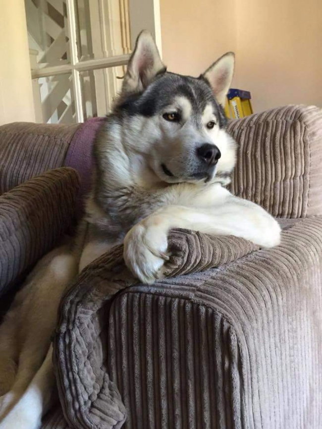 Illustration de l'article : 24 personnes ayant découvert des choses improbables dans leurs maisons