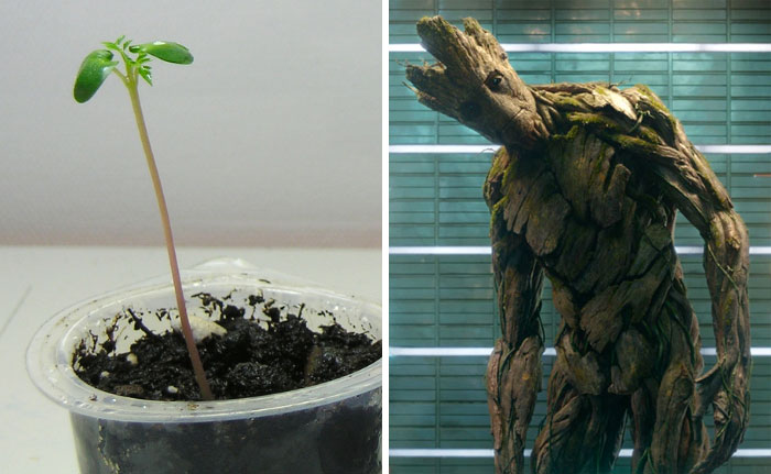 Illustration de l'article : Ces 19 comparaisons d'héros Marvel avant et aujourd'hui