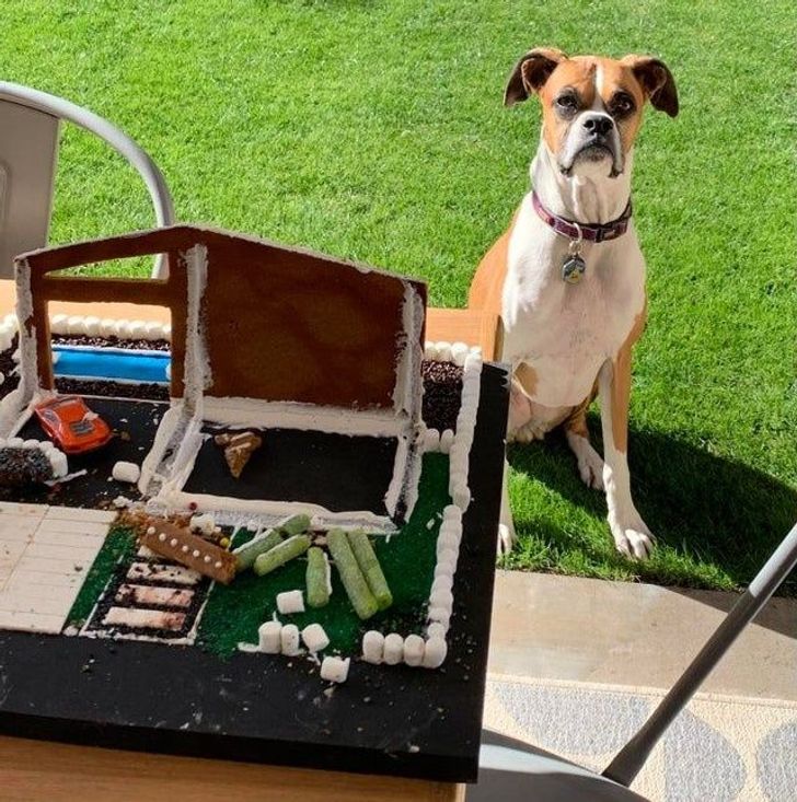 Illustration de l'article : Ces 18 personnes qui n'ont pas passé une bonne journée