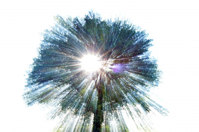 Illustration de l'article : 26 photos captivantes ayant été prises par erreur