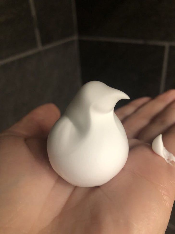 Illustration de l'article : Ces 19 photos avec quelques subtilités cachées