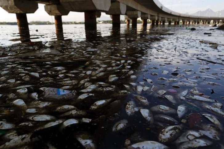 Illustration de l'article : Ces 15 photos qui montrent que l'on doit agir contre la pollution