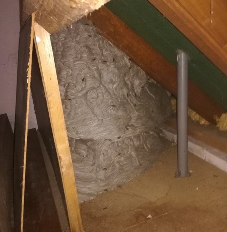 Illustration de l'article : Ces 17 lieux ou scènes qui mettent mal à l'aise