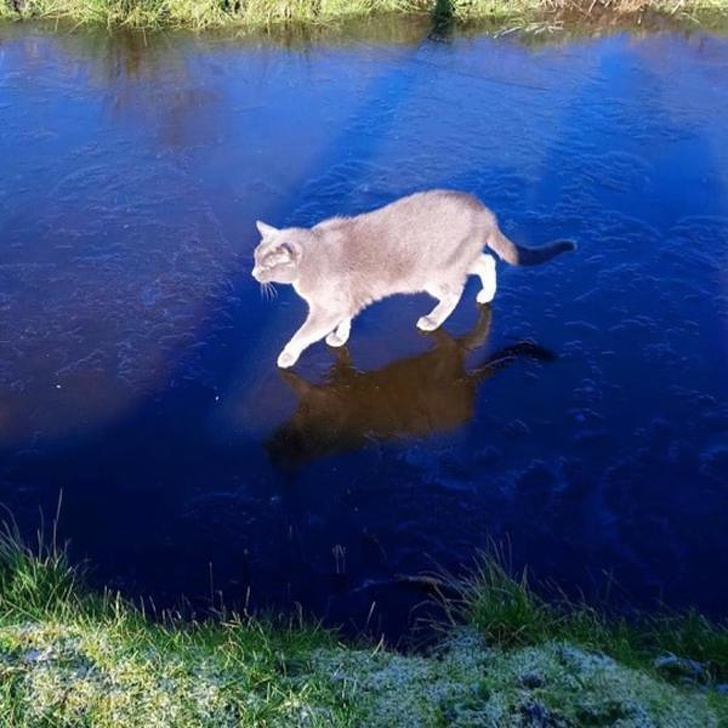 Illustration de l'article : Ces 13 photos qui montrent que l'on peut faire des découvertes tous les jours