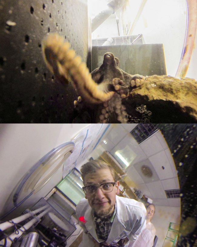 Illustration de l'article : Ces 18 photos n’ont d’intérêt que grâce à leur caractère inattendu