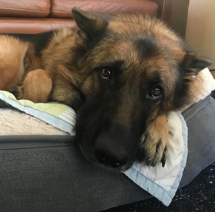 Illustration de l'article : Ces 14 photos qui montrent l'amour du monde