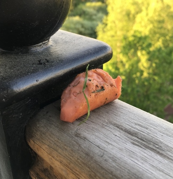 Illustration de l'article : Ces 18 photos qui peuvent être réconfortantes