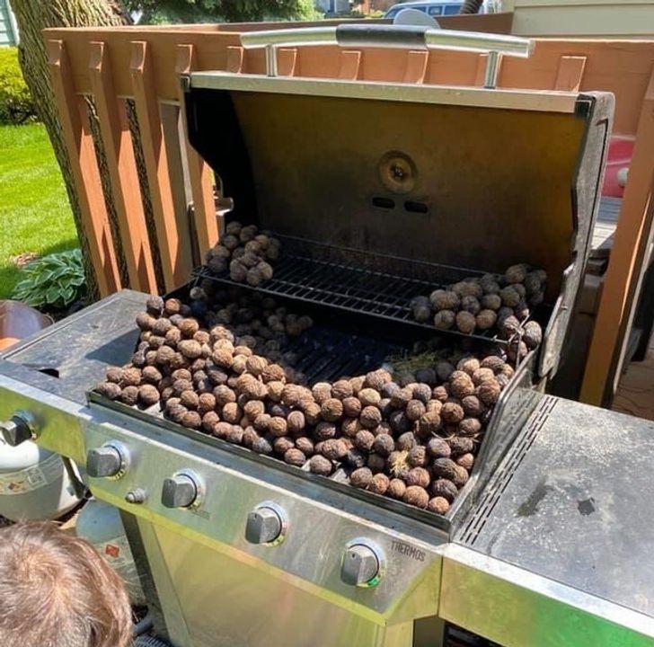 Illustration de l'article : Ces 20 internautes qui ont partagé leurs découvertes sur Internet