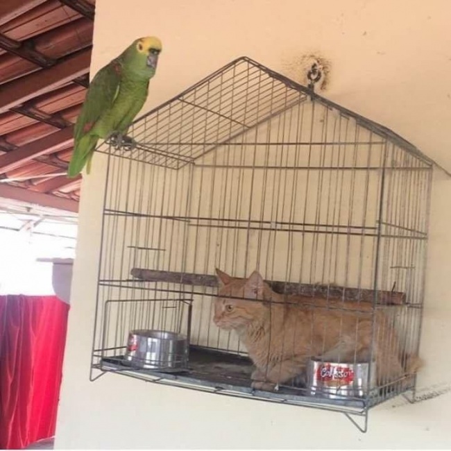 Illustration de l'article : 24 photos déroutantes où l'impensable s'est produit