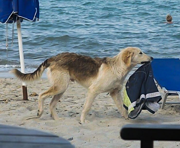 Illustration de l'article : Ces 18 personnes qui passent une bien mauvaise journée