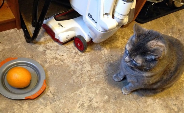 Illustration de l'article : Ces 17 fois où la logique des enfants est discutable