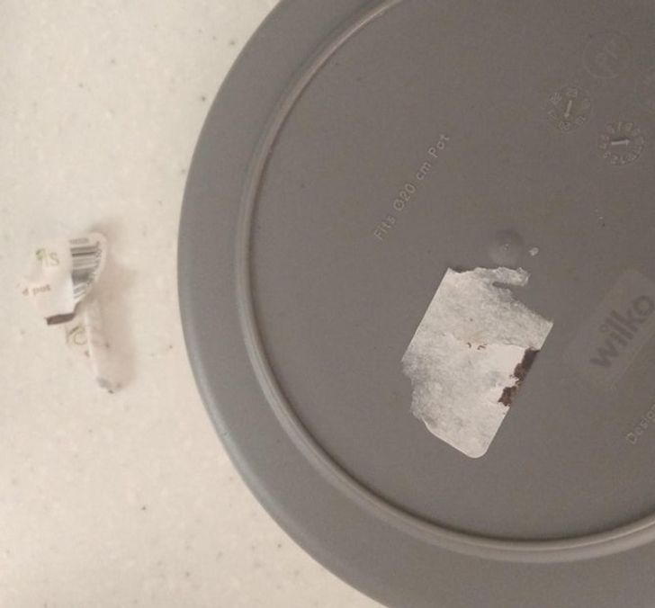 Illustration de l'article : Ces 19 photos qui ont le don de faire hérisser les poils