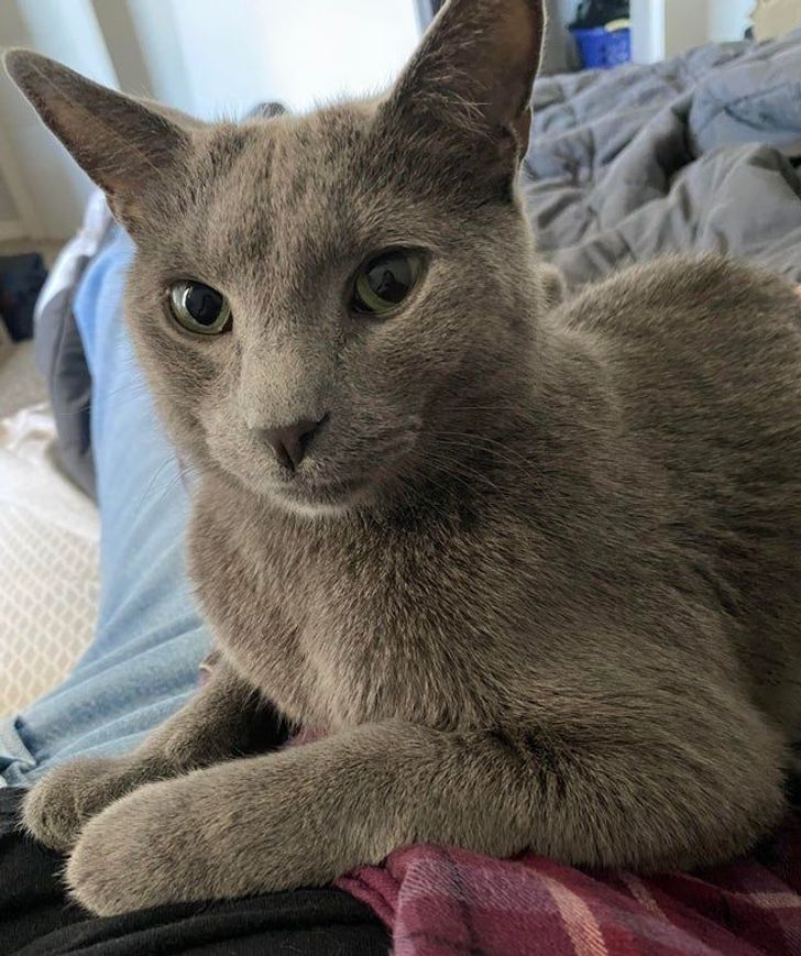 Illustration de l'article : Ces 20 personnes pour qui 2020 a été une bonne année