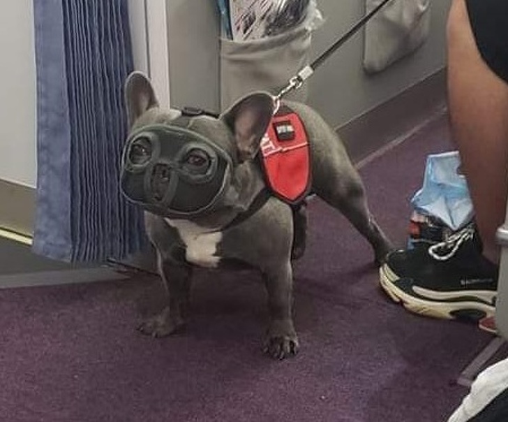 Illustration de l'article : Ces 24 photos qui montrent la joie de vivre