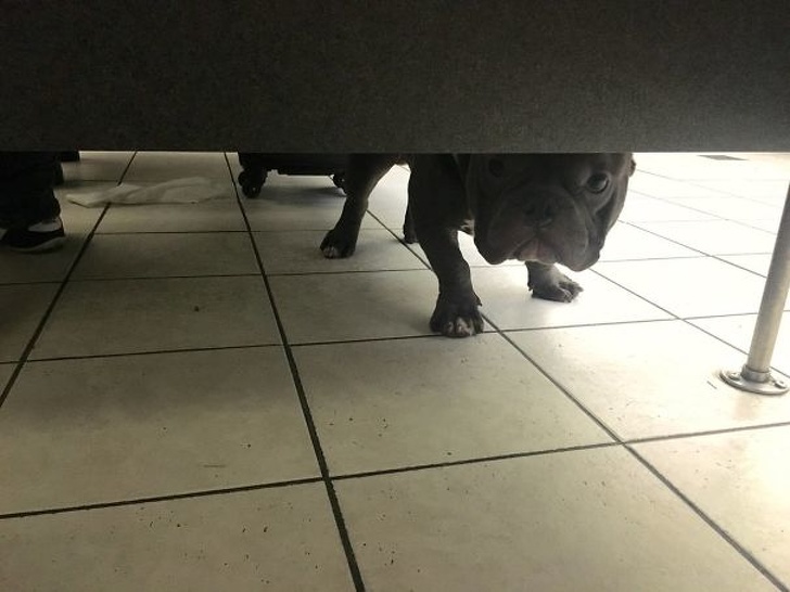 Illustration de l'article : Ces 18 photos qui montrent les endroits bizarres que sont les aéroports