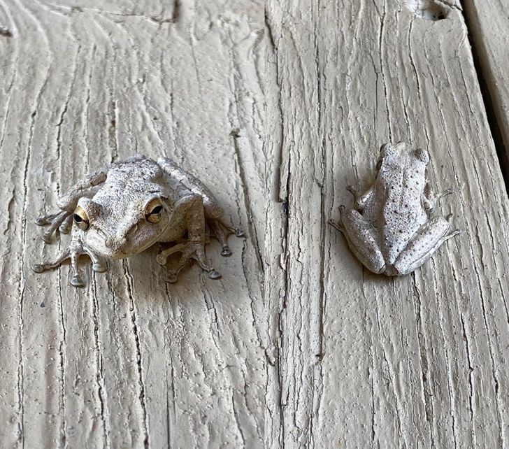 Illustration de l'article : Ces 17 photos qui illustrent des coïncidences de la vie