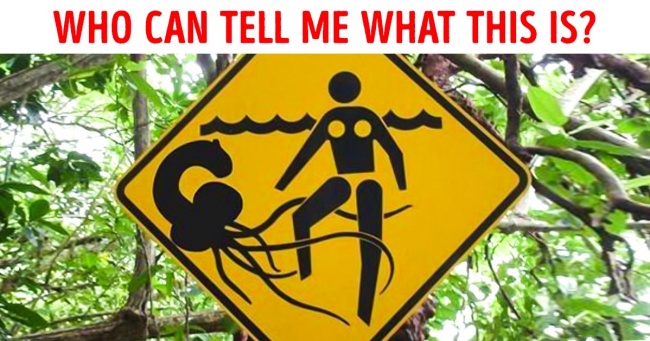 Illustration de l'article : 35 photos de choses totalement insensées et inexpliquées