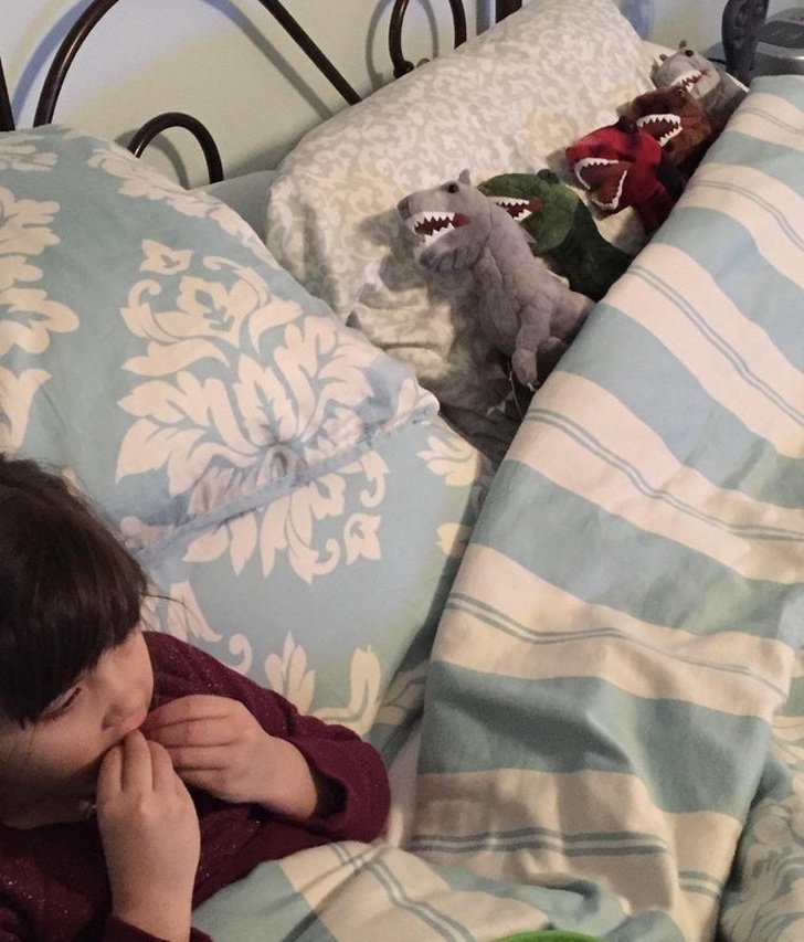 Illustration de l'article : Ces 18 photos qui peuvent être réconfortantes