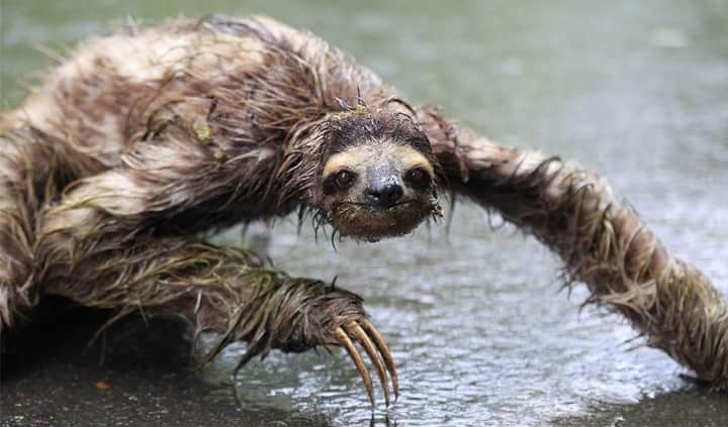 Illustration de l'article : Ces 17 lieux ou scènes qui mettent mal à l'aise