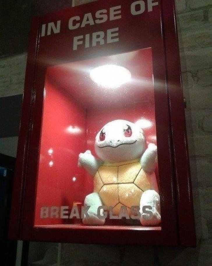 Illustration de l'article : Ces 14 curiosités étranges rencontrées dans la rue ou dans des événements