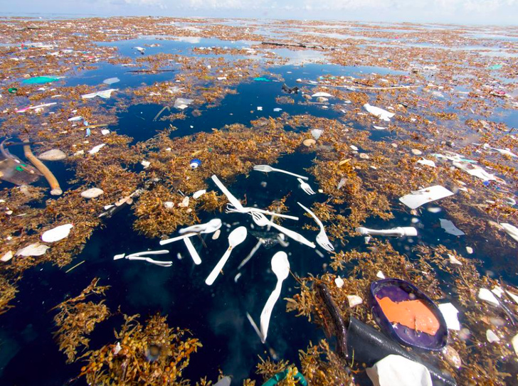 Illustration de l'article : Ces 15 photos qui montrent que l'on doit agir contre la pollution