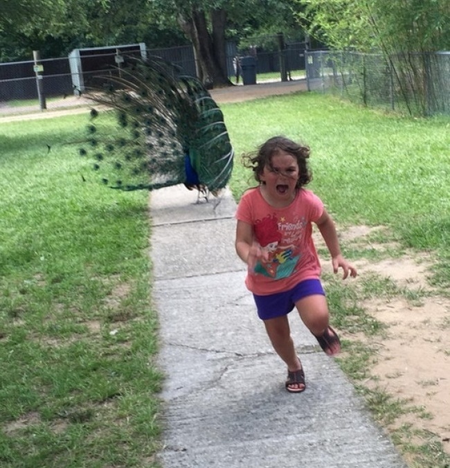 Illustration de l'article : Ces 25 actes ont eu des conséquences parfois dramatiques