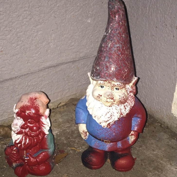 Illustration de l'article : Ces 21 photos qui réclament un peu d'empathie