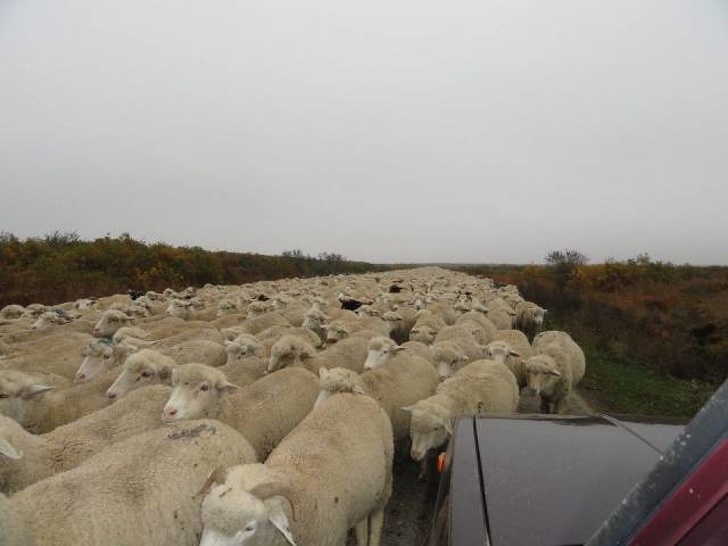 Illustration de l'article : Ces 24 journées que ces personnes voudraient recommencer