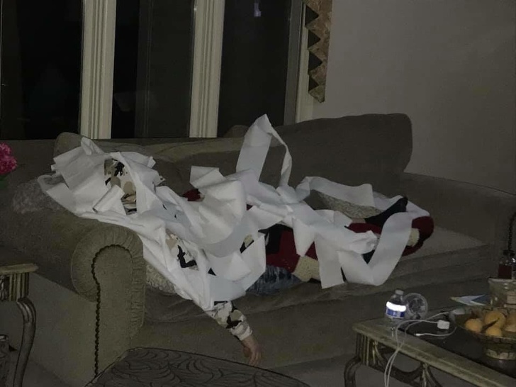 Illustration de l'article : Ces 17 familles dans lesquelles vous devez toujours surveiller vos arri&egrave;res