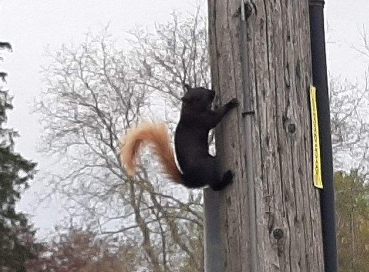 Illustration de l'article : Ces 20 internautes qui ont partagé leurs découvertes sur Internet