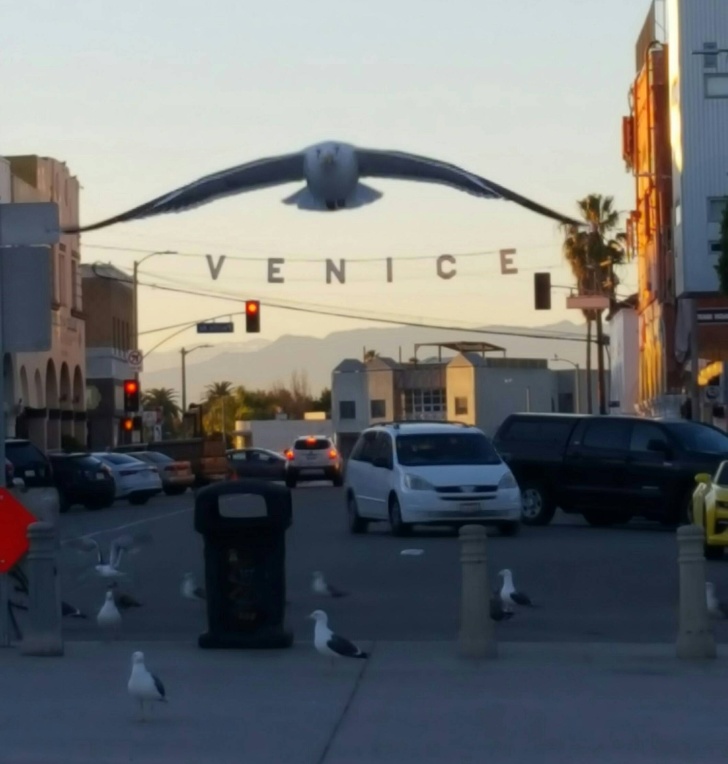 Illustration de l'article : Ces 20 photos déclenchées avec un bon timing