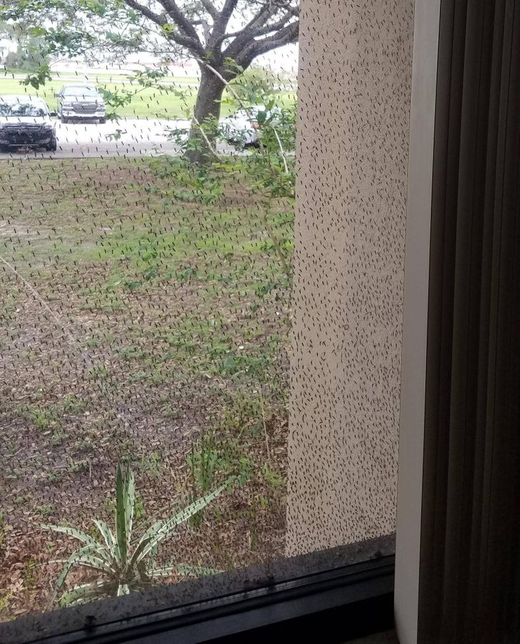 Illustration de l'article : Ces 20 photos illustrant quelques frayeurs de la nature