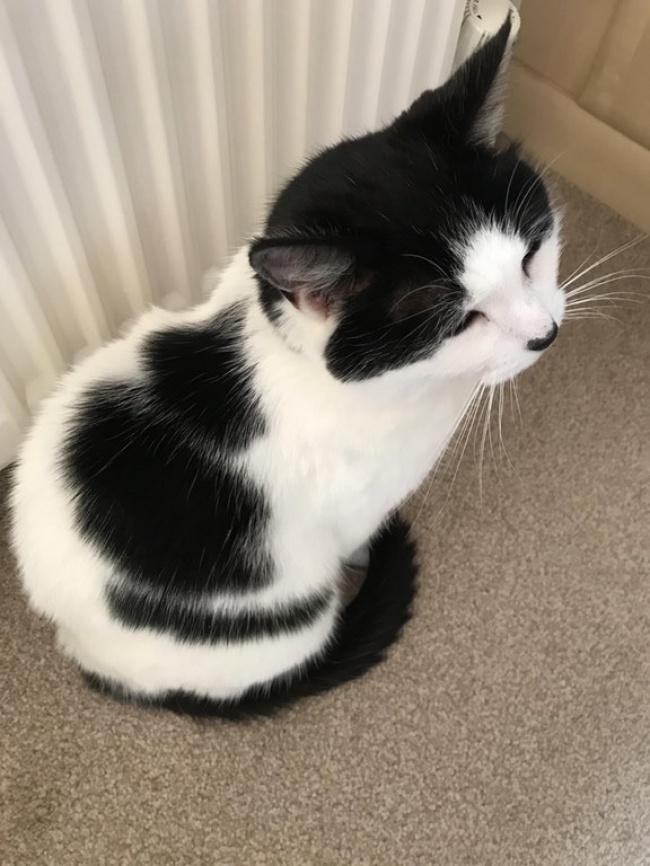 Illustration de l'article : Le hasard a bien fait les choses dans ces 25 situations