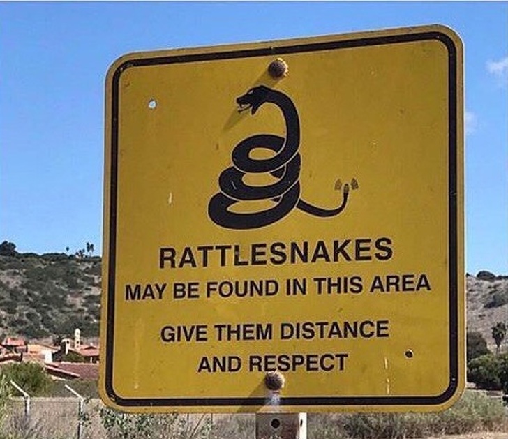 Illustration de l'article : Ces 19 problèmes rencontrés principalement par les filles