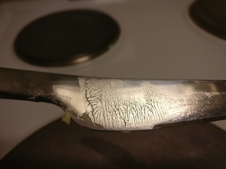 Illustration de l'article : Ces 23 curiosités qui montrent qu'il faut être attentif autour de soi