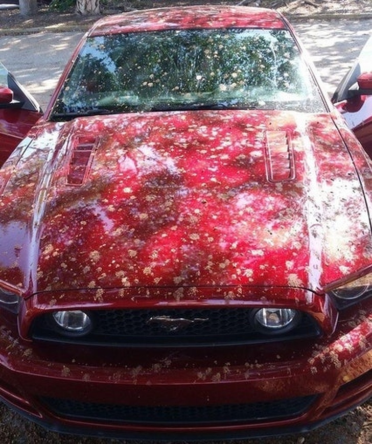 Illustration de l'article : Ces 20 personnes qui préfèrent oublier cette journée