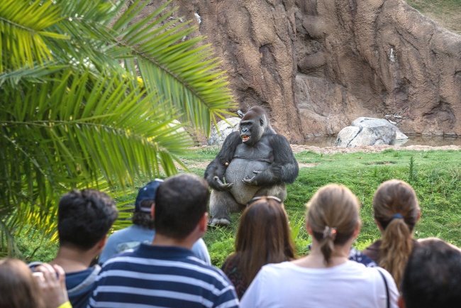 Illustration de l'article : 14 choses que vous ne saviez pas sur la vie en général